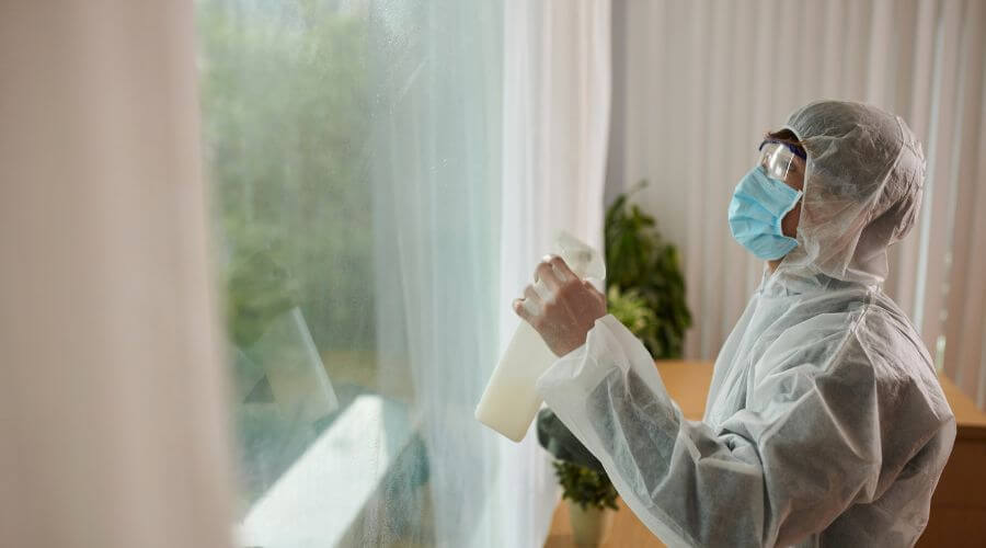 Why choose West Simsbury Bee Hive Relocation for bee hive relocation in West Simsbury
